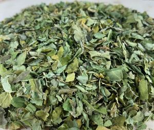 Dry Moringa Leaves, Color : Green