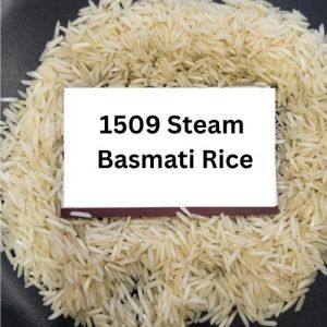 Creamy White Long Grain 1509 Steam Basmati Rice for Cooking