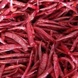 Organic Sannam s4 Dried Red Chilli Food Grade for Cooking