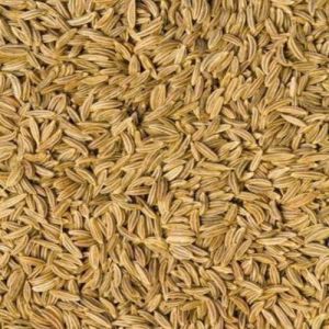 Gulf Quality Brown Organic Superior Cumin Seeds, Seed Type : Natural