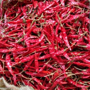 Organic Teja Dried Red Chilli Food Grade for Cooking