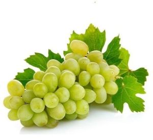 Fresh Green Grape, State OF Origin : India for Human Consumption
