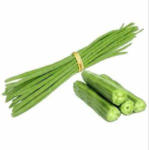 A Grade Fresh Moringa Drumstick