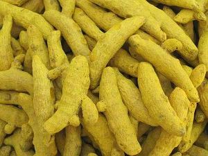 A Grade Rajapuri Turmeric Finger