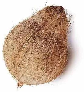 A Grade Semi Husked Coconut