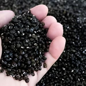 A Grade Whole Urad Daal