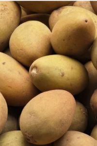 Imran Traders Organic Fresh Sapota, Packaging Size : 25kg, 50kg