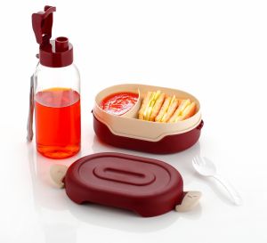 Food Storage Lunch Box with Bottle