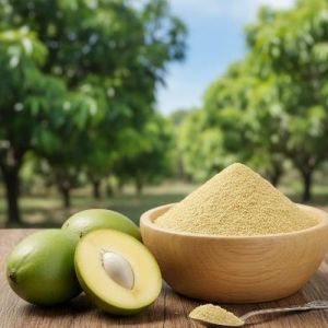 Spray Dried Amchur Powder