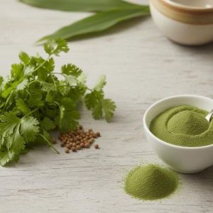 Spray Dried Coriander Powder