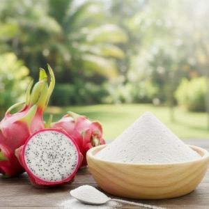 Spray Dried Dragon Fruit Powder