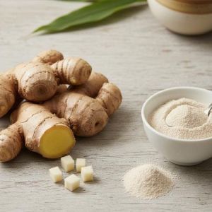 Spray Dried Ginger Powder