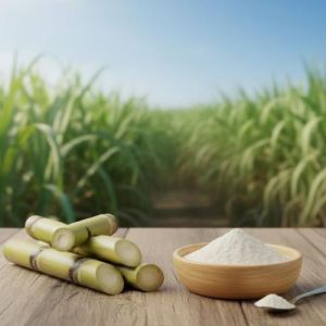 Spray Dried Sugarcane Powder