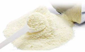 Skimmed Milk Powder