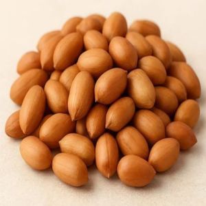Natural Peanut Kernels, Shell Type : With Shell