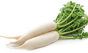 A Grade Fresh Radish, Color : Pure White Roots for Ideal Salads Curries
