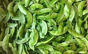Fresh Broad Beans, Packaging Size : 5Kg, 10Kg, 20Kg