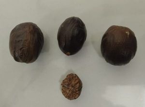 Aromatic Jathikkai Nutmeg Herbal Powder for Milk, Tea, Sweets