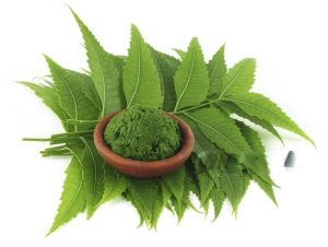 Detox & Immunity Support Neem Powder