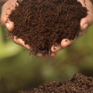 Low EC Compost Coco Peat Powder, Color : Dark-brown