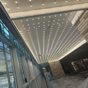 LED Light Stretch Ceiling Services