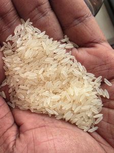 Short Grain Raw Ponni Rice, Packaging Size : 10Kg, 25Kg, 50Kg