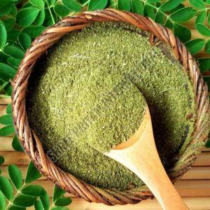 Green Herbal Moringa Powder, Grade Standard : Medicine Grade