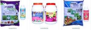 Azospirillum Biofertilizer, Packaging Type : Plastic Bottle