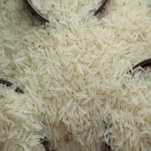 Creamy White 1509 Pusa Basmati Rice for Cooking