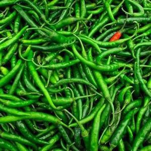 Organic Fresh Spicy Green Chilli for Cooking