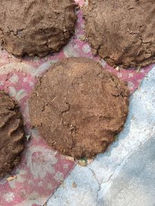 cow dung cake