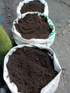 Vermi Compost