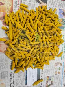 Turmeric Finger