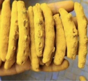 Yellow Turmeric Finger