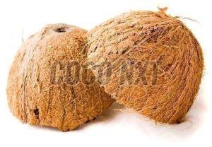 Hard Mature Coconut Shell, Color : Brown