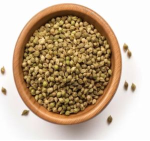 Organic Coriander Seeds Food Grade for Cooking
