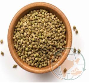Coriander Seeds