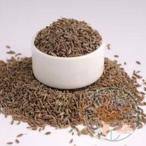 Cumin Seeds