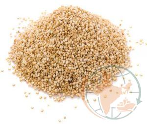 Sesame Seeds