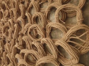 Coir Ropes