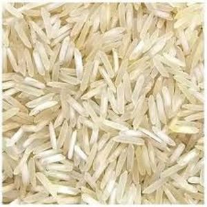 1509 Steam Basmati Rice, Moisture : Below 12%, Purity : High