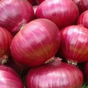 55mm Export Quality Nashik Red Onion, Packaging Size : 50Kg