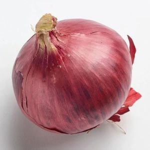 70mm Jumbo Size Nashik Red Onion, Packaging Size : 50Kg Gunny Bag