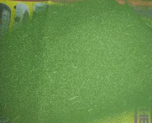 Organic Moringa Powder