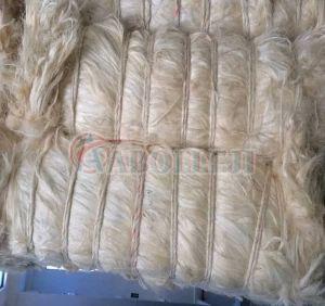 Natural Ug Grade White Sisal Fiber