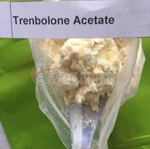 Trenbolone Acetate Powder