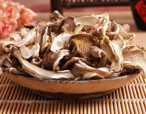 Fine-Cut Dried Oyster Mushroom, Packaging Size : 25-50kg
