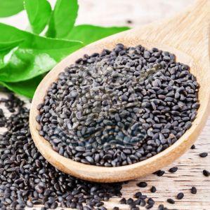 Black Sabja Seeds, Seed Type : Natural, Packaging Type : PP Bag