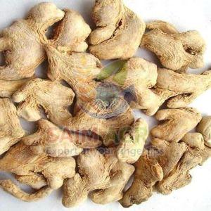 Dried Ginger
