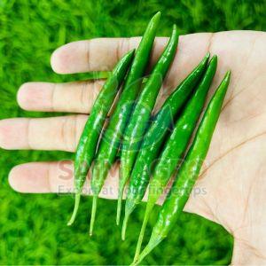 Fresh Green Chilli